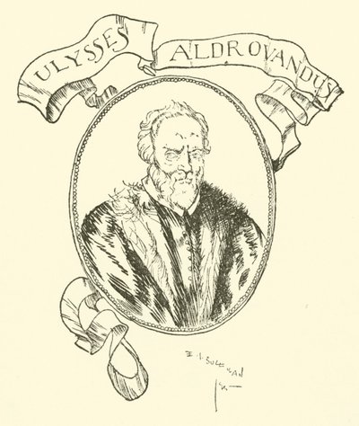 Ulysses Aldrovandus von Edmund Joseph after Sullivan