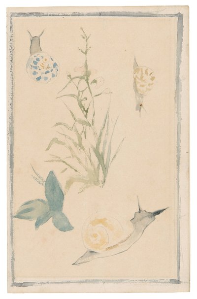 Manet - Skizzen von Schnecken, Blühende Pflanze, 1864-68 von Édouard Manet
