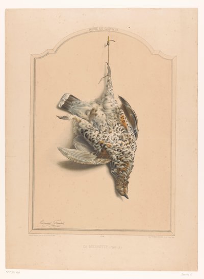 Totes weibliches Haselhuhn, an einem Bein hängend von Edouard Travies