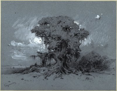  von Eduard Hildebrandt