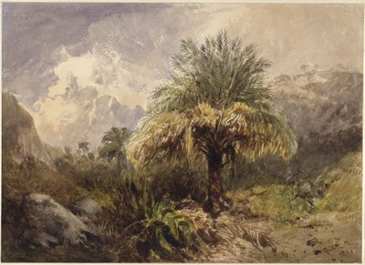 Palmen im Gebirge von Eduard Hildebrandt