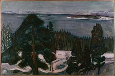 Winternacht von Edvard Munch