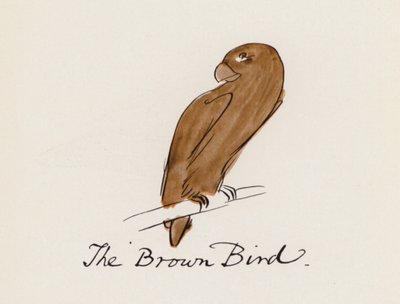 Das Vogelbuch: Der braune Vogel von Edward (after) Lear