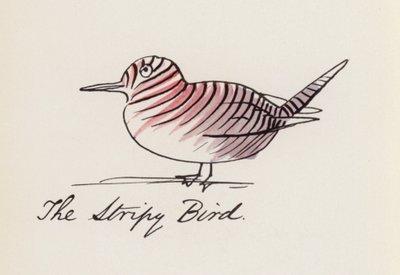 Edward Lear, Das Vogelbuch: Der Gestreifte Vogel von Edward (after) Lear
