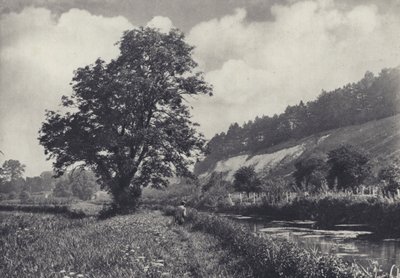 Die große Esche auf dem Hauptträger, Leckford von Edward Alfred Barton