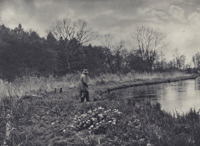 Die ersten Königskelche des Frühlings von Edward Alfred Barton