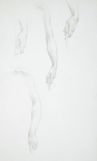 Studien von Armen und Händen (recto); Studie eines weiblichen Torsos (verso) von Edward Burne-Jones