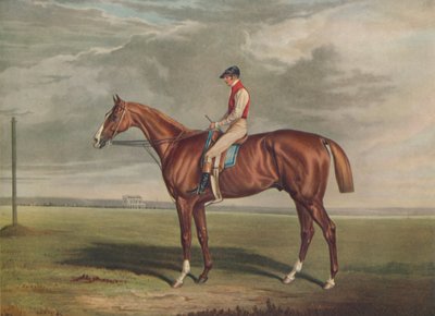 Velocipede, Gewinner des St. Leger von Edward Duncan