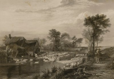 Schafwäsche von Edward Finden
