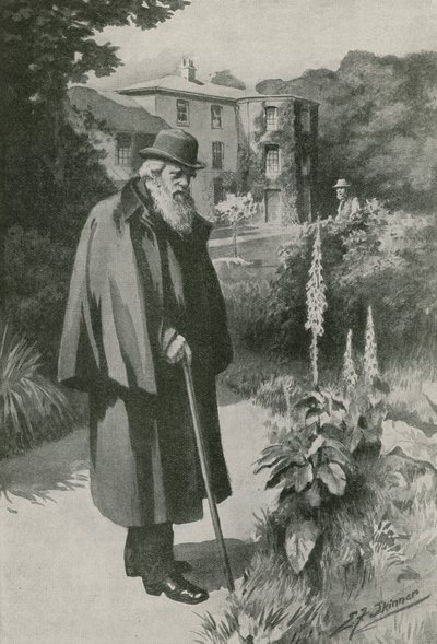 Charles Darwin in seinem Garten im Down House (Lithografie) von Edward Frederick Skinner