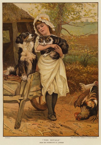 Die Rivalen von Edward Killingworth Johnson