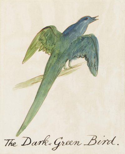 Der dunkelgrüne Vogel, aus Sechzehn Zeichnungen komischer Vögel von Edward Lear