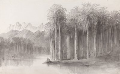 Wady Feiran, Halbinsel des Berges Sinai von Edward Lear