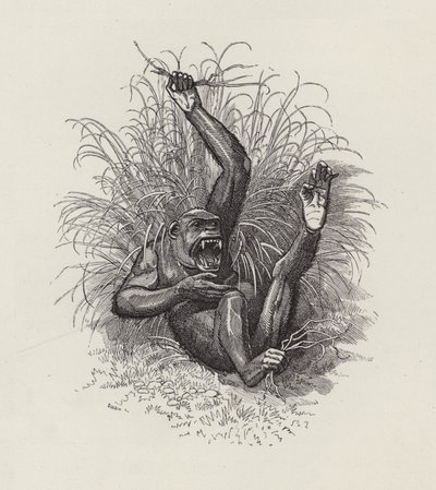 Illustration für Die Wasserkinder von Charles Kingsley von Edward Linley (after) Sambourne
