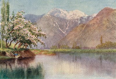 Kotwal in der Nähe des Dal Darwaza von Edward Mary Joseph Molyneux