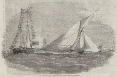 Königliche Harwich-Regatta, Die Amazon gewinnt den Commodore