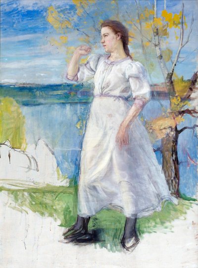 Die Taufe des Eunuchen von Eero Järnefelt
