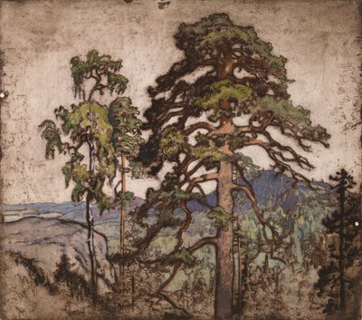 Blick vom Koli von Eero Järnefelt