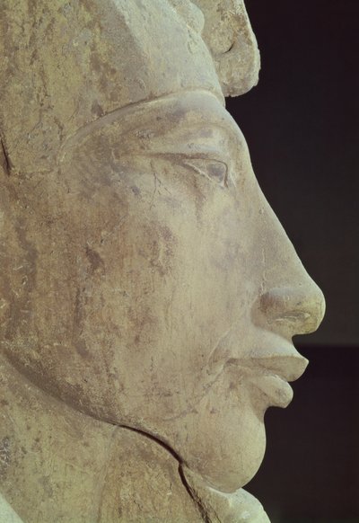 Büste von Amenophis IV (Echnaton) (ca. 1364-1347 v. Chr.) aus dem Tempel des Amun, Karnak, ca. 1353-1337 v. Chr. (Detail) von Egyptian 18th Dynasty