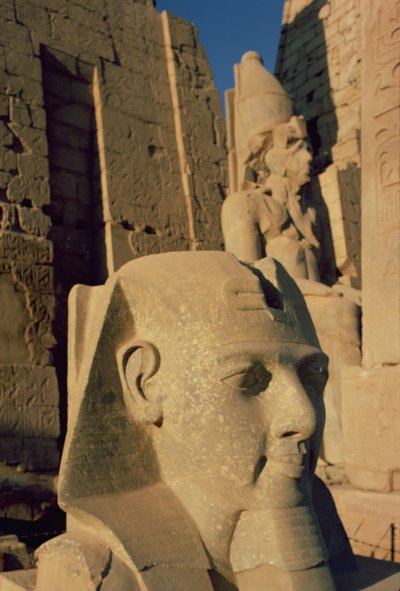 Kolossaler Kopf von Ramses II. (1298-32 v. Chr.) Neues Reich von Egyptian 19th Dynasty