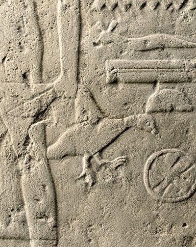 Detail des Reliefs von Pehenuka, Altes Reich, 2465-2323 v. Chr. von Egyptian 5th Dynasty