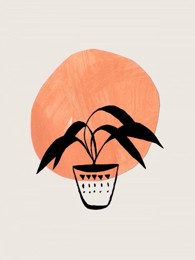 Boho-Topfpflanze von Ejaaz Haniff