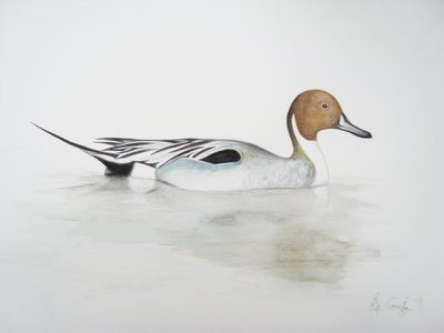Spießente, 2011 von Eleanor Grafton
