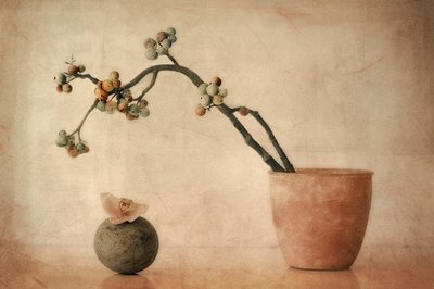 Erdige Beeren und Orchidee von Elena Arjona