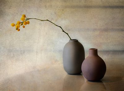 Minimalistische Blumenvasen von Elena Arjona