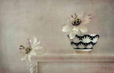 Passionsblume Stillleben von Elena Arjona
