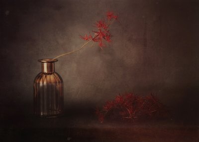 Rote Blüte Stillleben von Elena Arjona