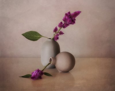 Serene Blumenvasen von Elena Arjona
