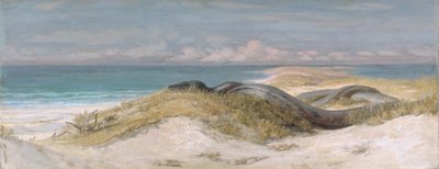 Höhle der Seeschlange von Elihu Vedder