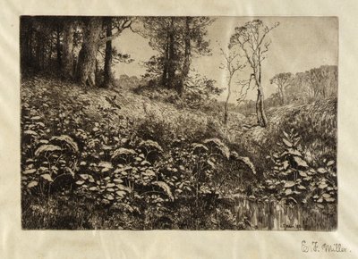 Ein Sommernachmittag von Elis F. Miller