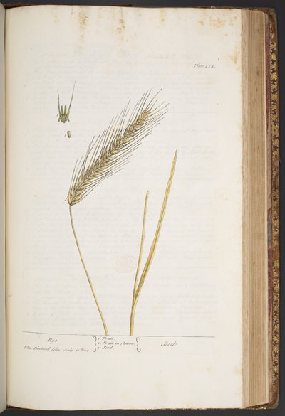 Tafel 424, aus 