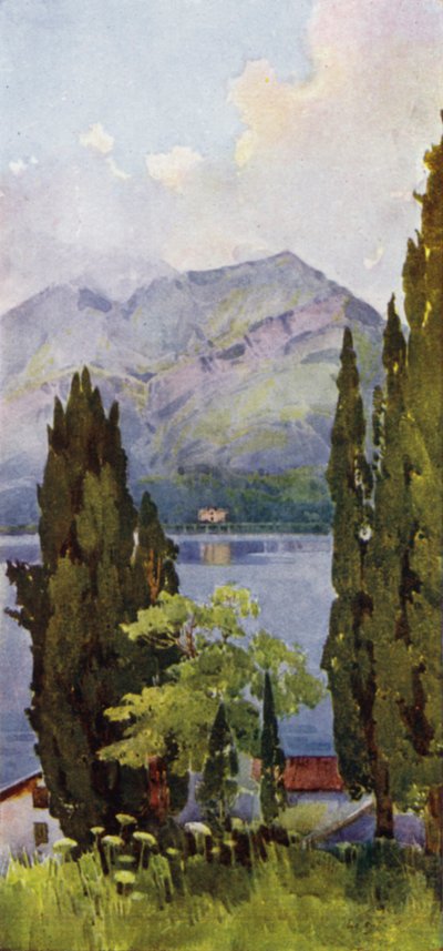 Monte Crocione, Lago di Como von Ella Du Cane