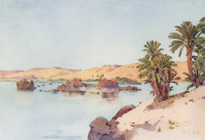 Das Kataraktbecken von der Insel Elephantine von Ella Du Cane