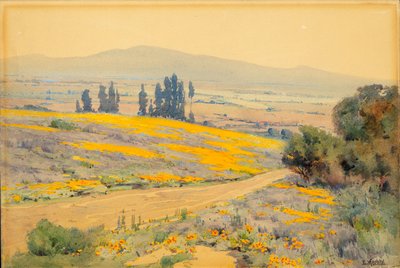Kalifornische Frühlingslandschaft von Elmer Wachtel