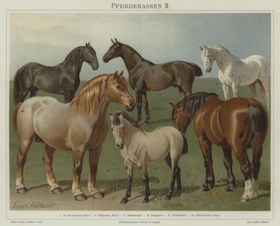 Pferderassen von Emil Volkers