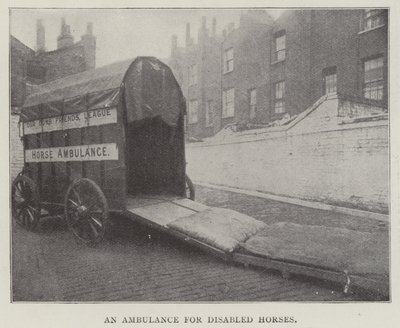 Ein Krankenwagen für behinderte Pferde von English Photographer