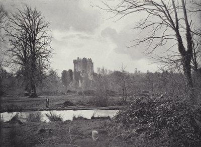 Blarney Schloss von English Photographer