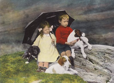 Junge und Mädchen mit drei Hunden unter einem Regenschirm von English Photographer