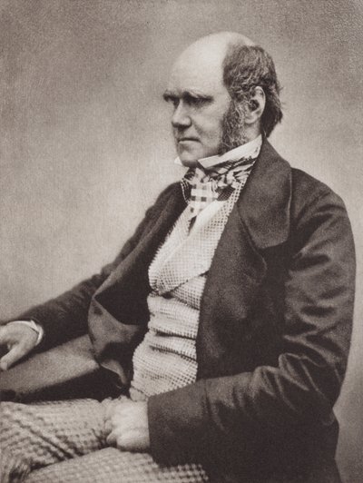 Charles Darwin, Porträt, ca. 1854, nach einem Foto von Maull & Fox von English Photographer