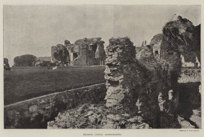Denbigh Burg, Denbighshire von English Photographer