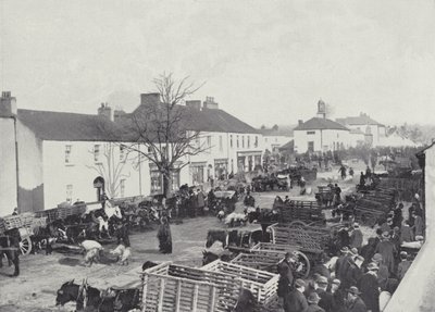 Markttag in Abbeyleix von English Photographer