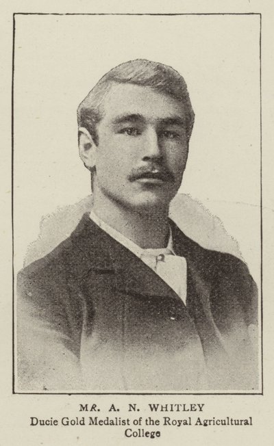 Herr A N Whitley von English Photographer
