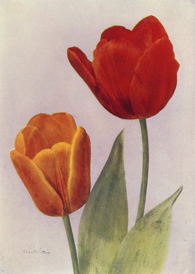 Prinz von Österreich und Fred Moore von English Photographer