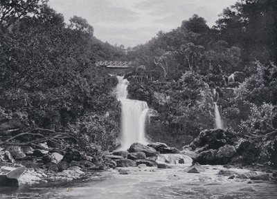 Schottland: Inversnaid Falls, Loch Lomond von English Photographer