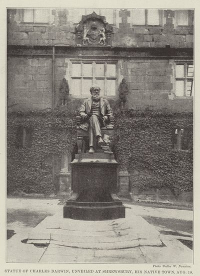 Statue von Charles Darwin, enthüllt in Shrewsbury, seiner Heimatstadt, am 10. August von English Photographer