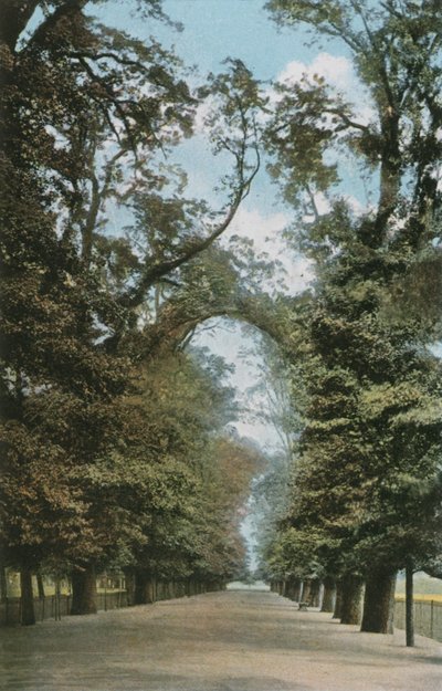 Der Broad Walk von English Photographer
